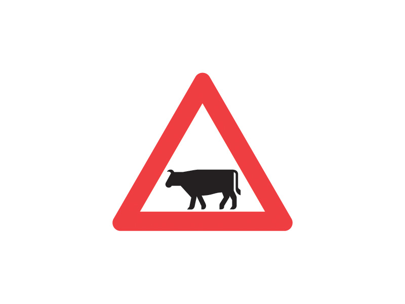 Færdselstavle A27 betyder "Kreaturer". Tavlen er et advarselsskilt, som angiver, at der længere fremme kan være husdyr, der krydser kørebanen, herunder landbrugskøretøjer som traktorer og mejetærskere. Man skal derfor sænke hastigheden og være forberedt på at bremse for at undgå ulykker.