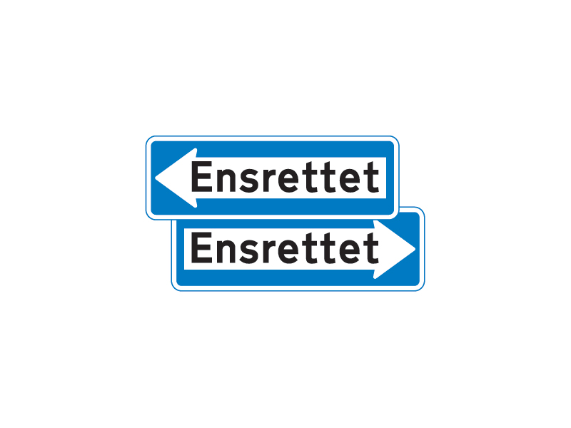 Færdselstavle E19.1 er en oplysningstavle og har betydningen "Ensrettet færdsel". Den angiver, at færdslen på den vej, den er opsat ved, udelukkende må foregå i den retning, pilen viser.